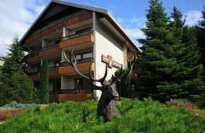 Отель Hotel Zum Goldenen Hirsch  Бад-Бевензен